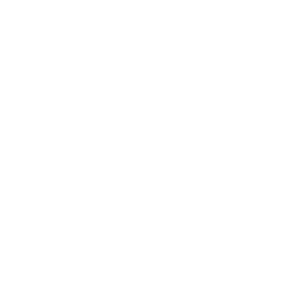 Logo Icone