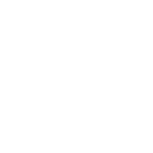 Logo Sovet