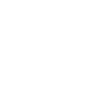 Logo Ztahl